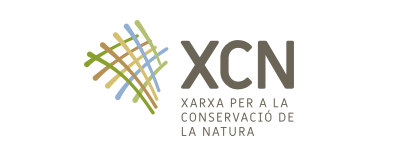 El butlletí de la XCN – Desembre 2020