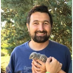 Guillem Mas Paisatges Vius